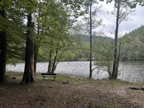 Erlenbach - Burg Berwartstein - Seehofweiher