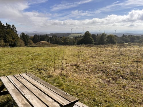 Bergmähwiesenpfad (Premiumwanderweg)