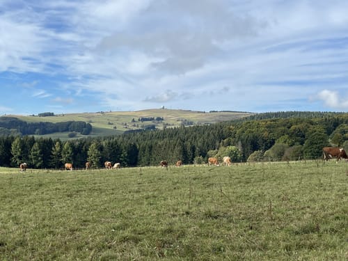 Rhön-Rundweg 4 Moordorf