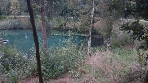 Um den Dankernsee