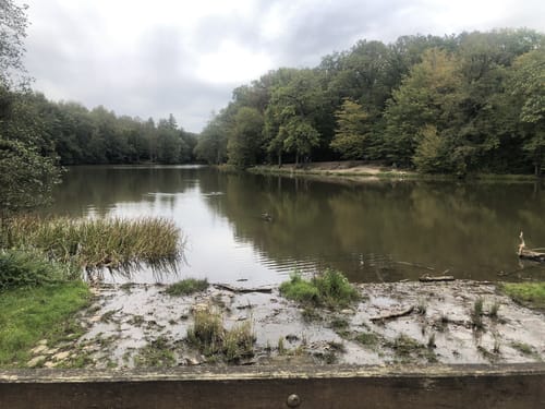 Netzbachweiher -Unterer Italienerweg - Netzbachhütte