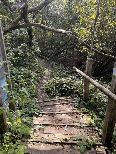 Bergmähwiesenpfad (Premiumwanderweg)
