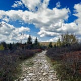 Bear Rocks, Raven Ridge, and Dobbin Grade Trail, West Virginia - 646 ...