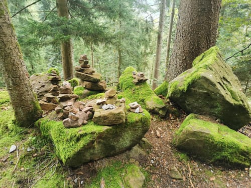 Alexanderschanze und Renchtalsteig