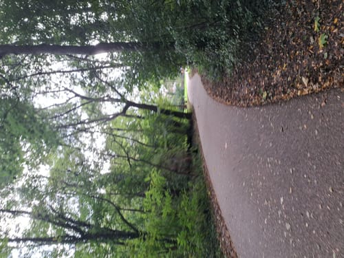 Vom Rebstockpark zum Volkspark Niddatal entlang der Nidda
