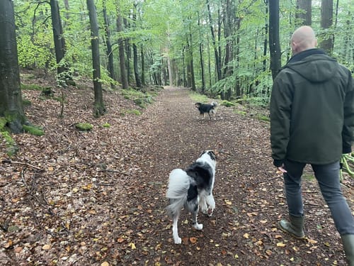 Edenkoben Lokaler Rundweg 2