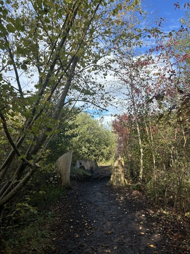 Durch den Wackelwald