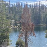 Angora Lakes Trail, California - 658 Reviews, Map | AllTrails