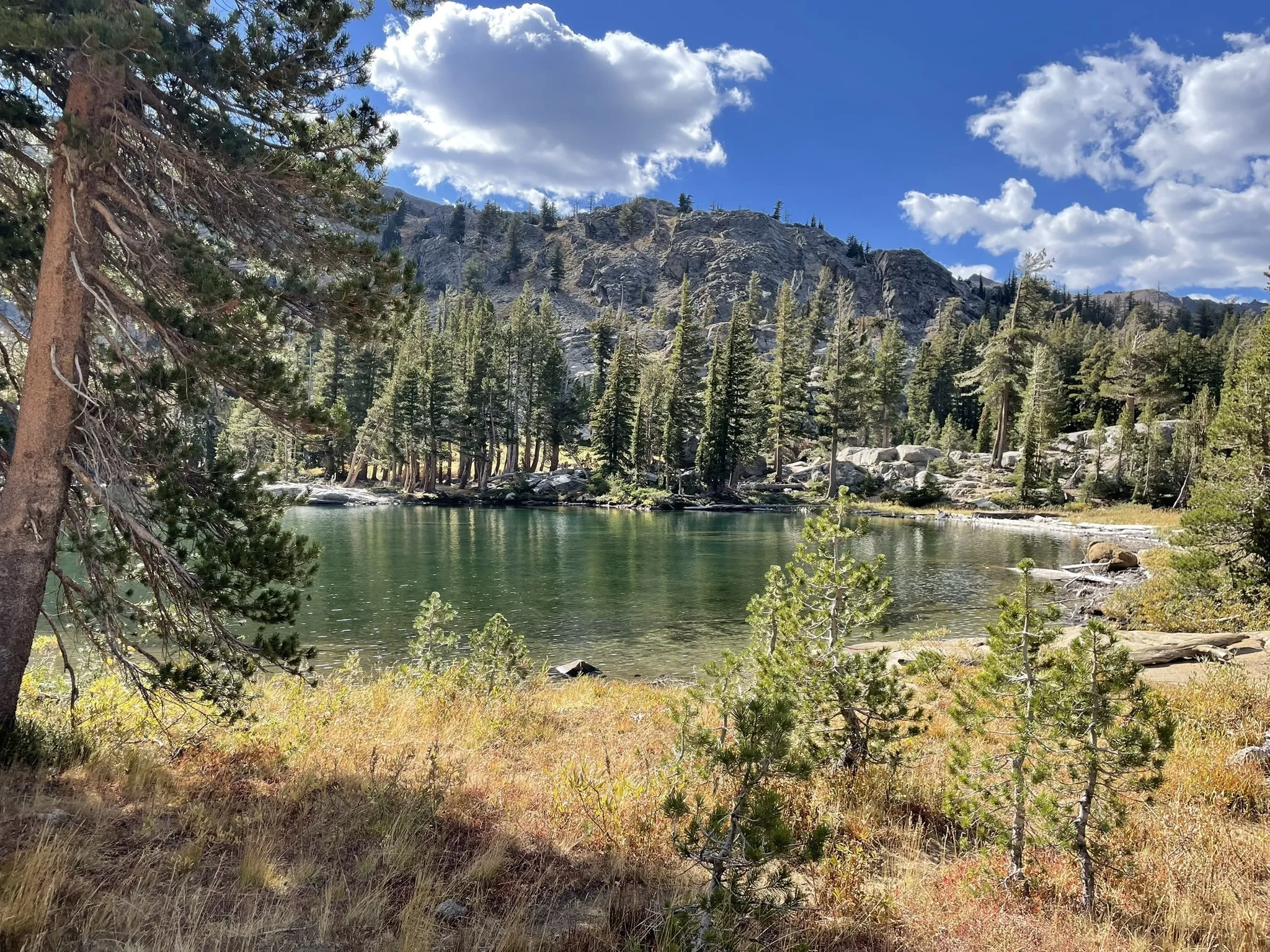 Photo of a trail from Judy Robinson with title Emigrant Lake Trail