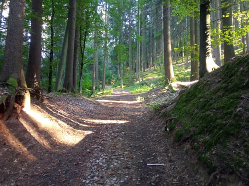 Zur Keltenschanze und Wagenschreck