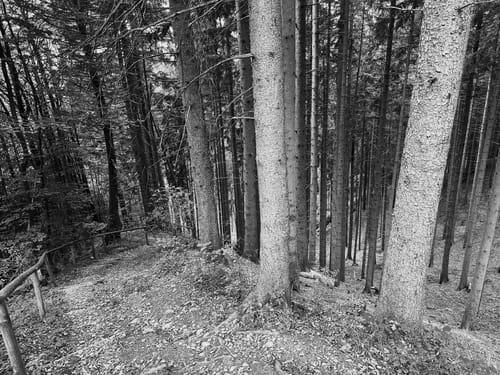 König-Ludwig-Weg Etappe 4: Hohenpeißenberg - Rottenbuch