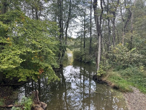 Prinzeninsel und Schloss Plön