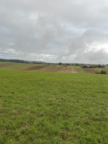 Rund um die Eisinger Löcher