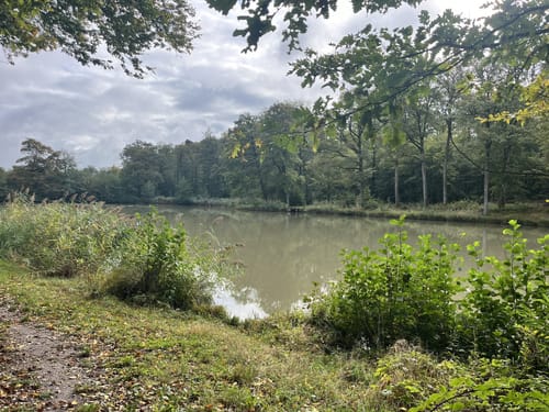 Zum Hamberger See