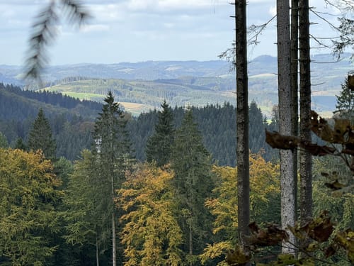Rundweg BF2 (Bad Fredeburg)