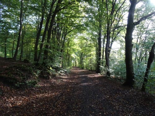 Runde in den Fröruper Bergen