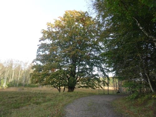 Runde in den Fröruper Bergen