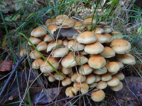 Runde in den Fröruper Bergen