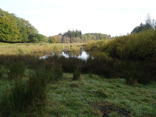 Runde in den Fröruper Bergen