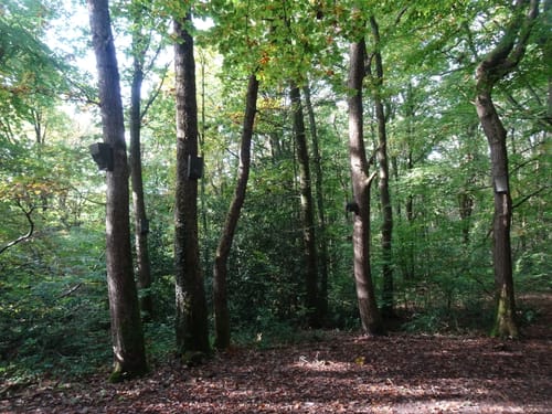 Runde in den Fröruper Bergen