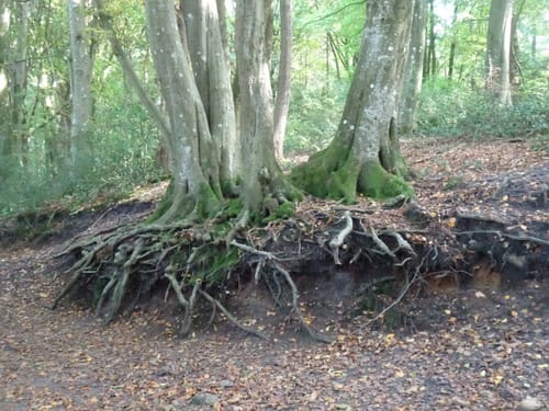 Runde in den Fröruper Bergen
