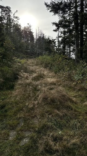 Käsplatte ab Ahornwies