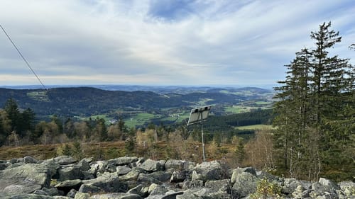 Käsplatte ab Ahornwies