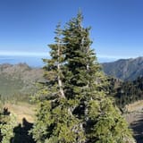 Hurricane Hill via Hurricane Ridge, Washington - 9,482 Reviews, Map ...