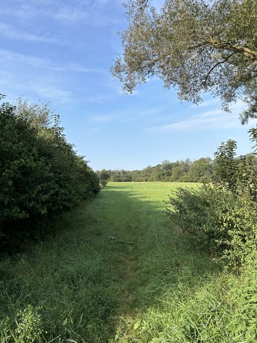 Auenwald & Aquädukt (RegioGrün Themenweg Nr. 2)