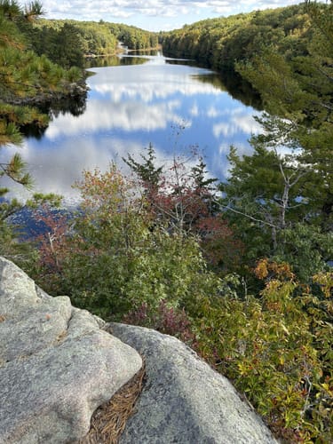 Photos of Long Pond Woods Trail Rhode Island AllTrails