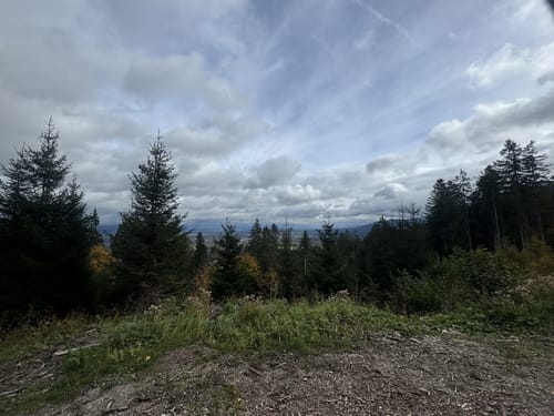 Blomberg Rundweg zum alten Zwiesel