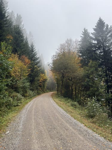 Blomberg Rundweg zum alten Zwiesel