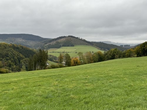 Rothaarsteig-Spur Sorper-Panoramapfad