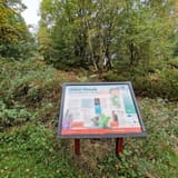 Greno Wood Nature Reserve, Prior Royd, and Old Yew Gate Circular, South ...