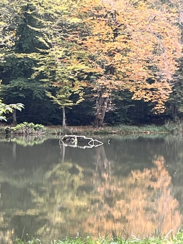 Echzell zu dem Wannkopf