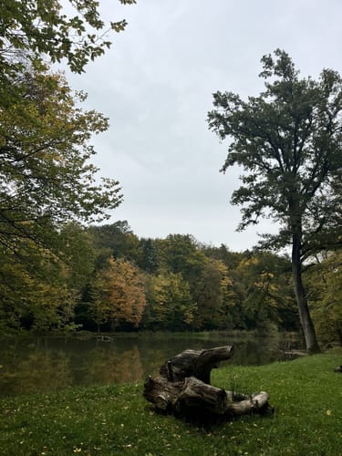 Echzell zu dem Wannkopf