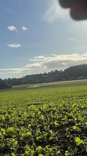 Wanderroute rund um Wölpinghausen