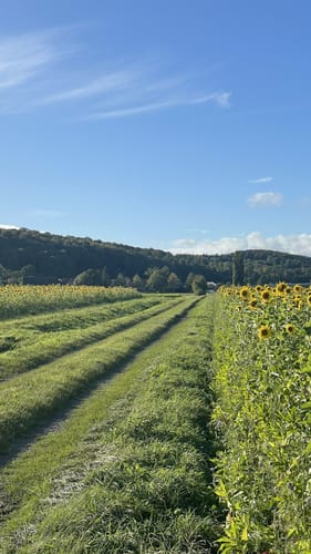 Wanderroute rund um Wölpinghausen