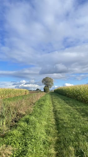 Wanderroute rund um Wölpinghausen