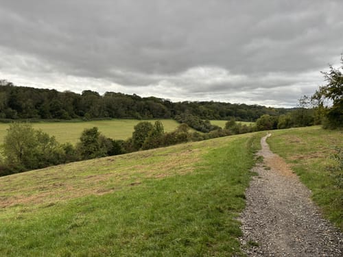 10 Best trail running trails in Croydon AllTrails