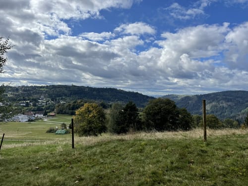 Wildtierpfad Häusern