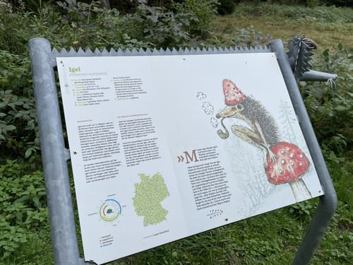Wildtierpfad Häusern