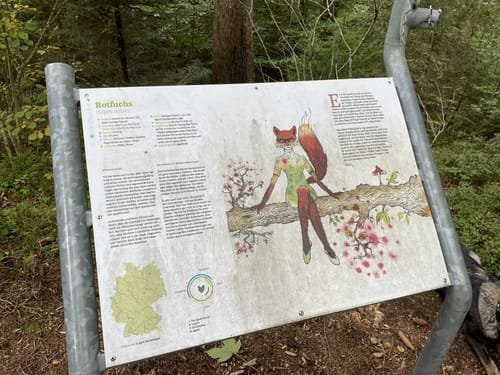 Wildtierpfad Häusern