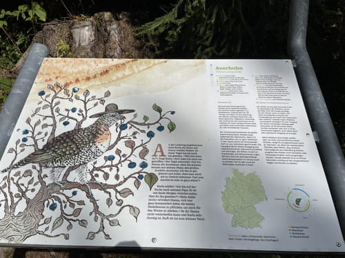 Wildtierpfad Häusern