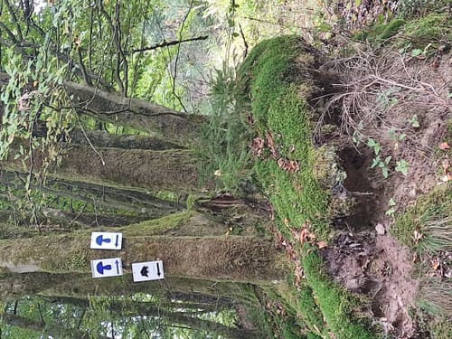 Rundwanderweg Fellen