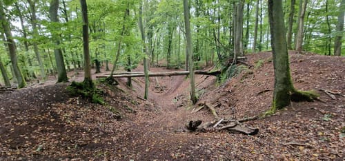 Auf den Kornberg