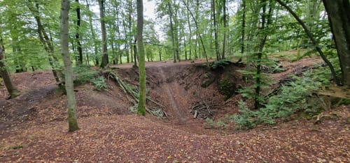 Auf den Kornberg