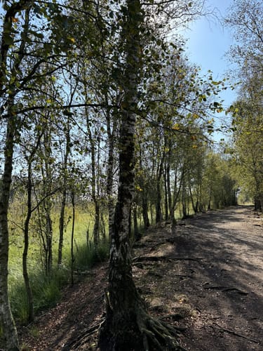 Runde am Dosenmoor