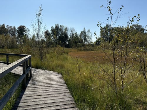 Runde am Dosenmoor