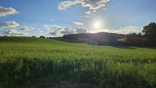 Wiesloch nach Eschelbach Rundweg